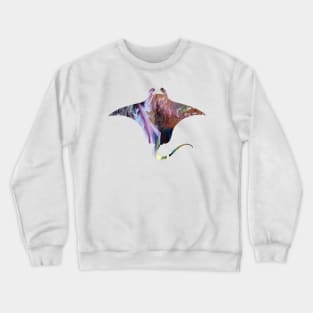 Ray Crewneck Sweatshirt